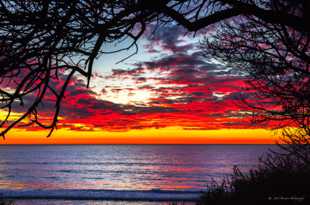 Sunset at Ponto beach-9476.jpg Sunset at Ponto beach-9476.jpg